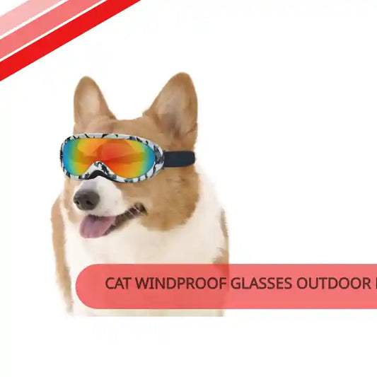Cat Windproof Glasses Outdoor Pet Cool Sunglasses by@Outfy
