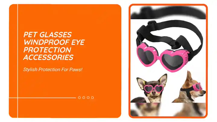 Pet Glasses Windproof Eye Protection Accessories by@Outfy