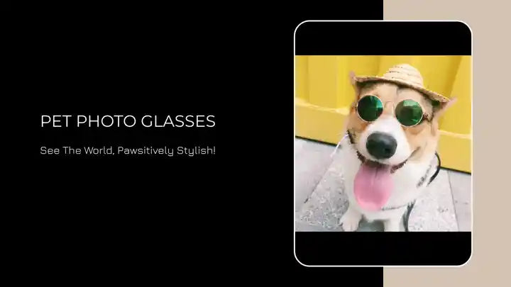 Pet photo glasses by@Outfy